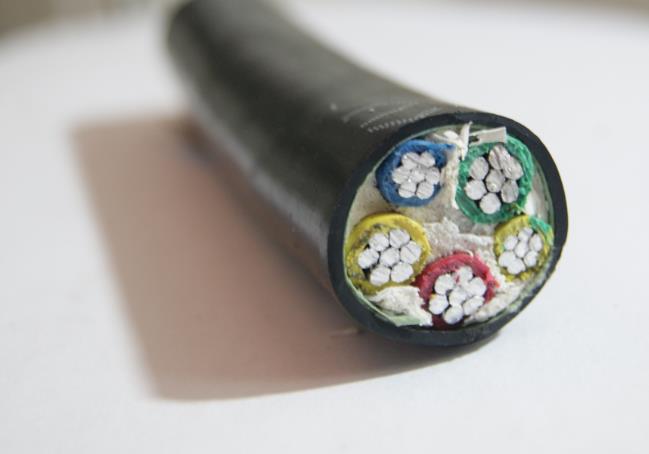 金聯(lián)宇電纜用到機(jī)器人身上能起到什么作用.jpg 金聯(lián)宇電纜用到機(jī)器人身上能起到什么作用.jpg